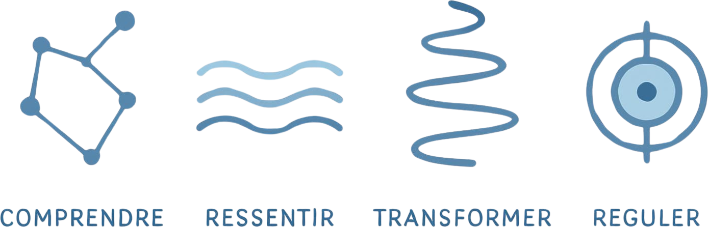 Comprendre · Réguler · Transformer · Ressentir